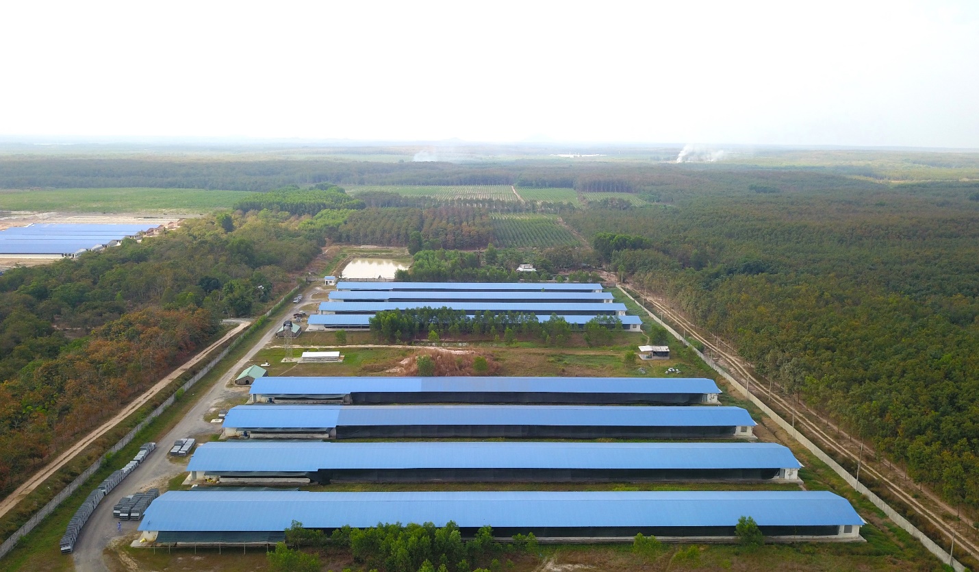 Japfa Comfeed Việt Nam tái cấu trúc toàn diện, hướng đến mục tiêu xuất khẩu sản phẩm chăn nuôi- Ảnh 4.