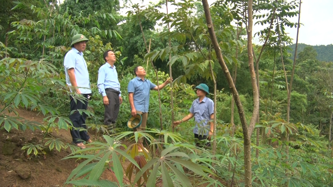 Tìm hướng thoát nghèo cho đồng bào dân tộc trên đất Phổng Lập- Ảnh 2.