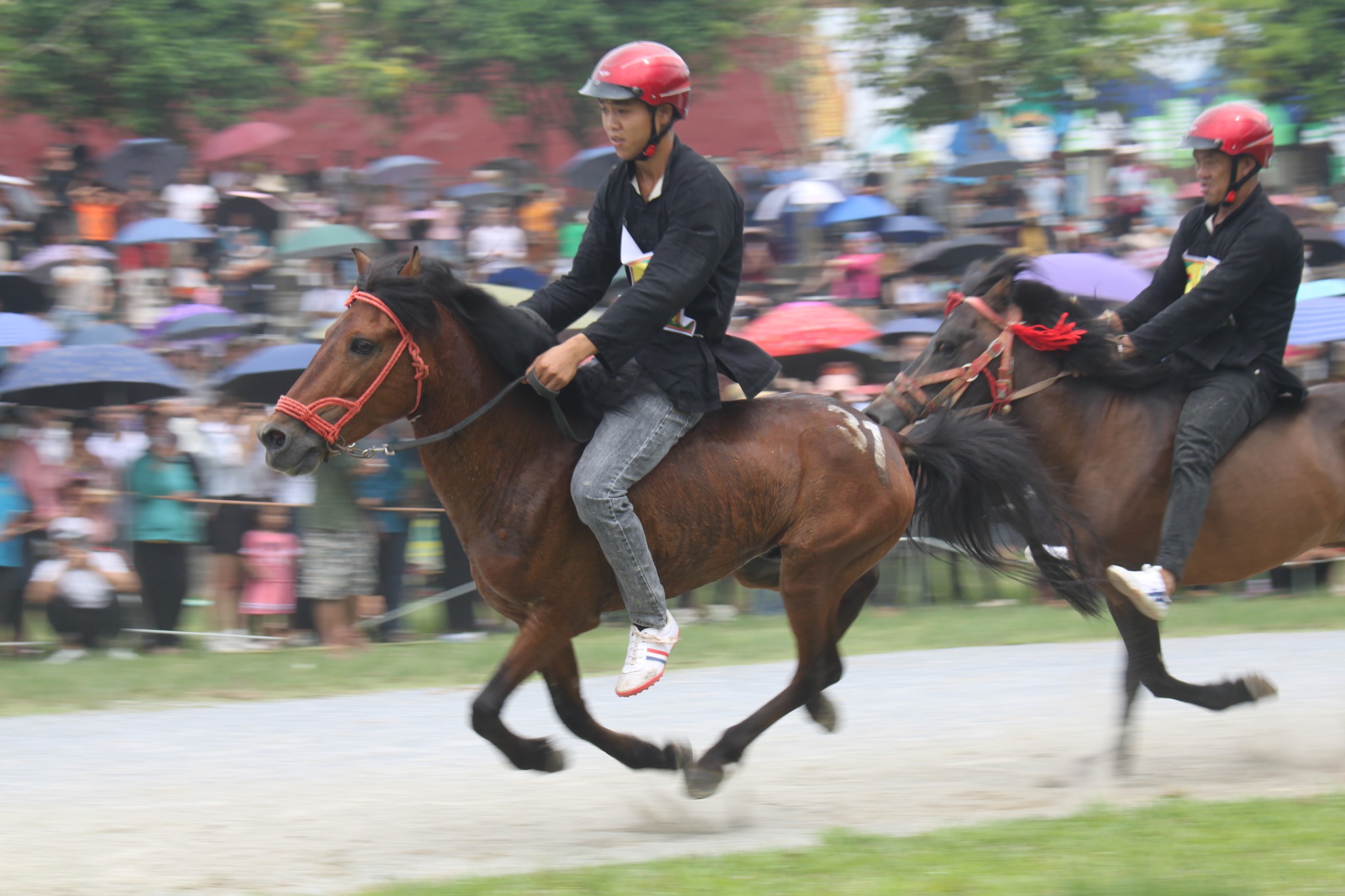 Nghiêng say vó ngựa cao nguyên Bắc Hà- Ảnh 3.