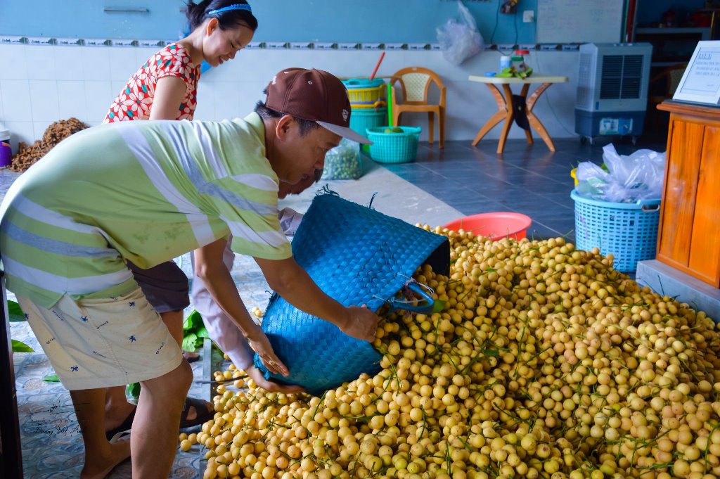 Ngọn núi này ở An Giang dân đang trồng loại cây, trái treo đếm chả xuể, dân mua ăn rồi tiện đi ngắm mây- Ảnh 4.