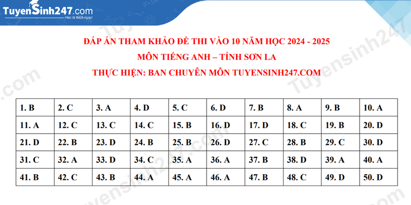 Đề thi môn Tiếng Anh vào lớp 10 năm 2024 của Sơn La có gợi ý đáp án- Ảnh 5.