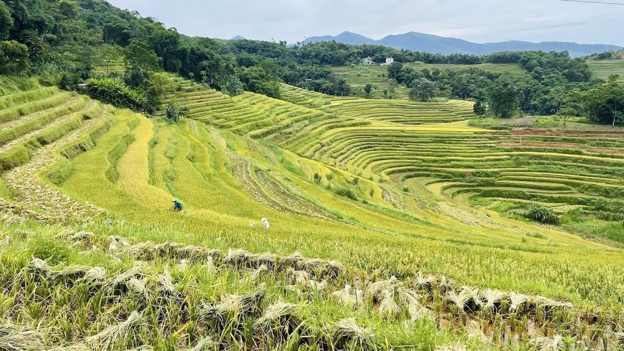 Lễ hội ruộng bậc thang Miền Đồi ở huyện Lạc Sơn (Hòa Bình) được tổ chức ngày nào?- Ảnh 1.