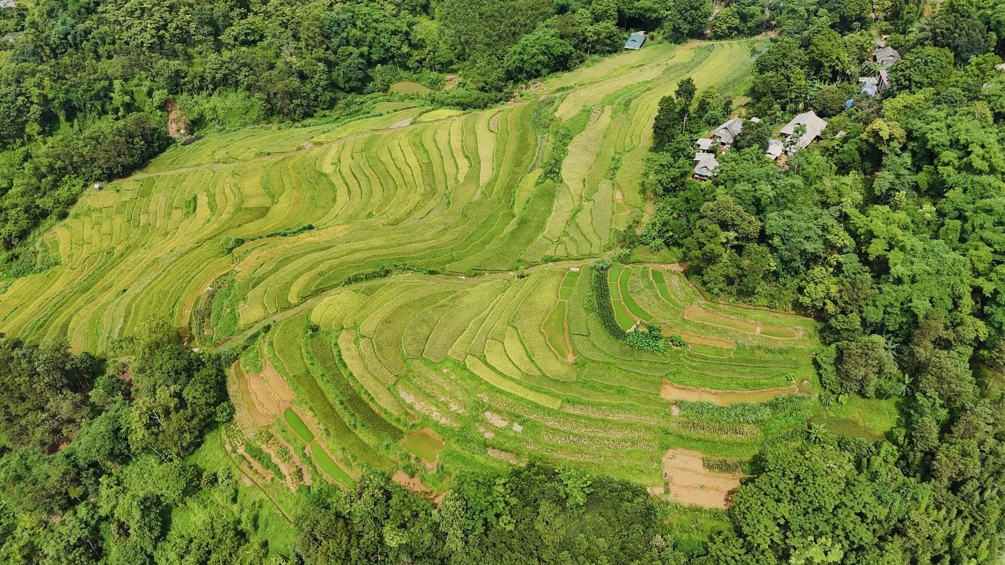 Lễ hội ruộng bậc thang Miền Đồi ở huyện Lạc Sơn (Hòa Bình) được tổ chức ngày nào?- Ảnh 3.