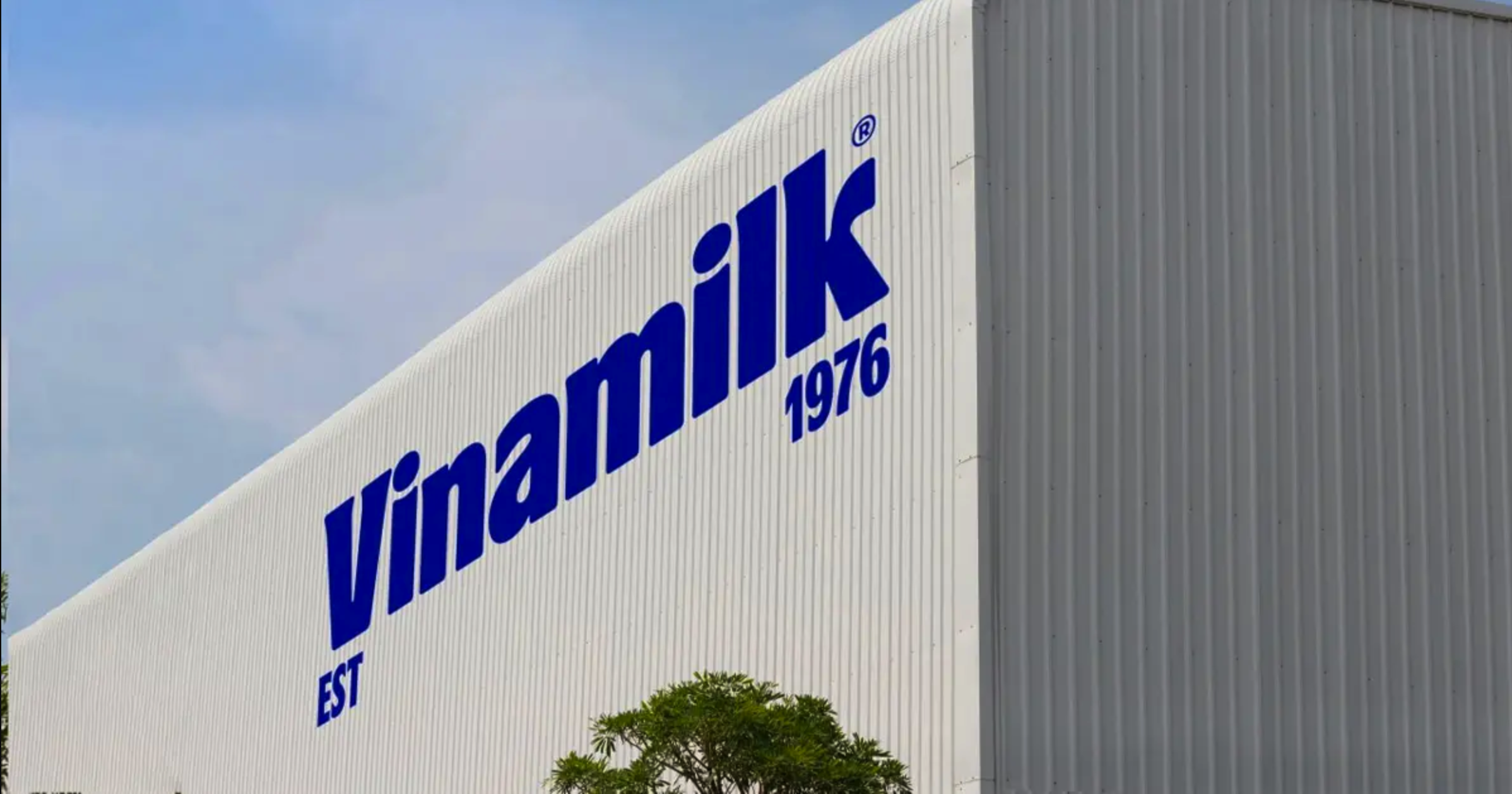 Vinamilk - Doanh nghiệp duy nhất của ngành sữa Việt Nam trong danh sách Fortune 500 Đông Nam Á- Ảnh 1.