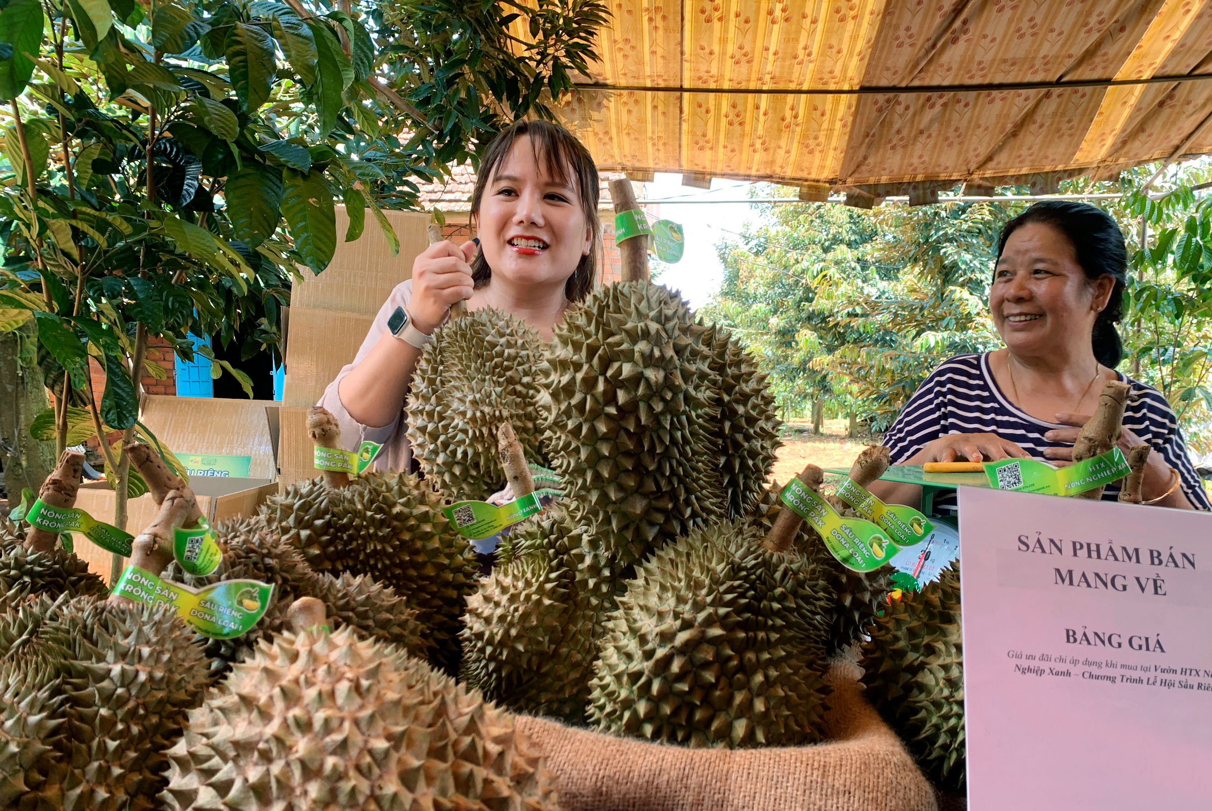 Đây là loại quả đặc sản đang chín thơm lừng vùng Tây Nguyên, hễ cắt bán là nhà nào cũng có cục tiền to- Ảnh 1.