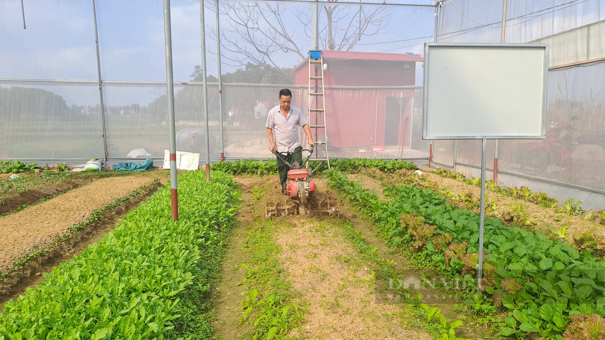 Chỉ trong 2 năm, một huyện của Thái Nguyên đã giảm 905 hộ nghèo- Ảnh 1.