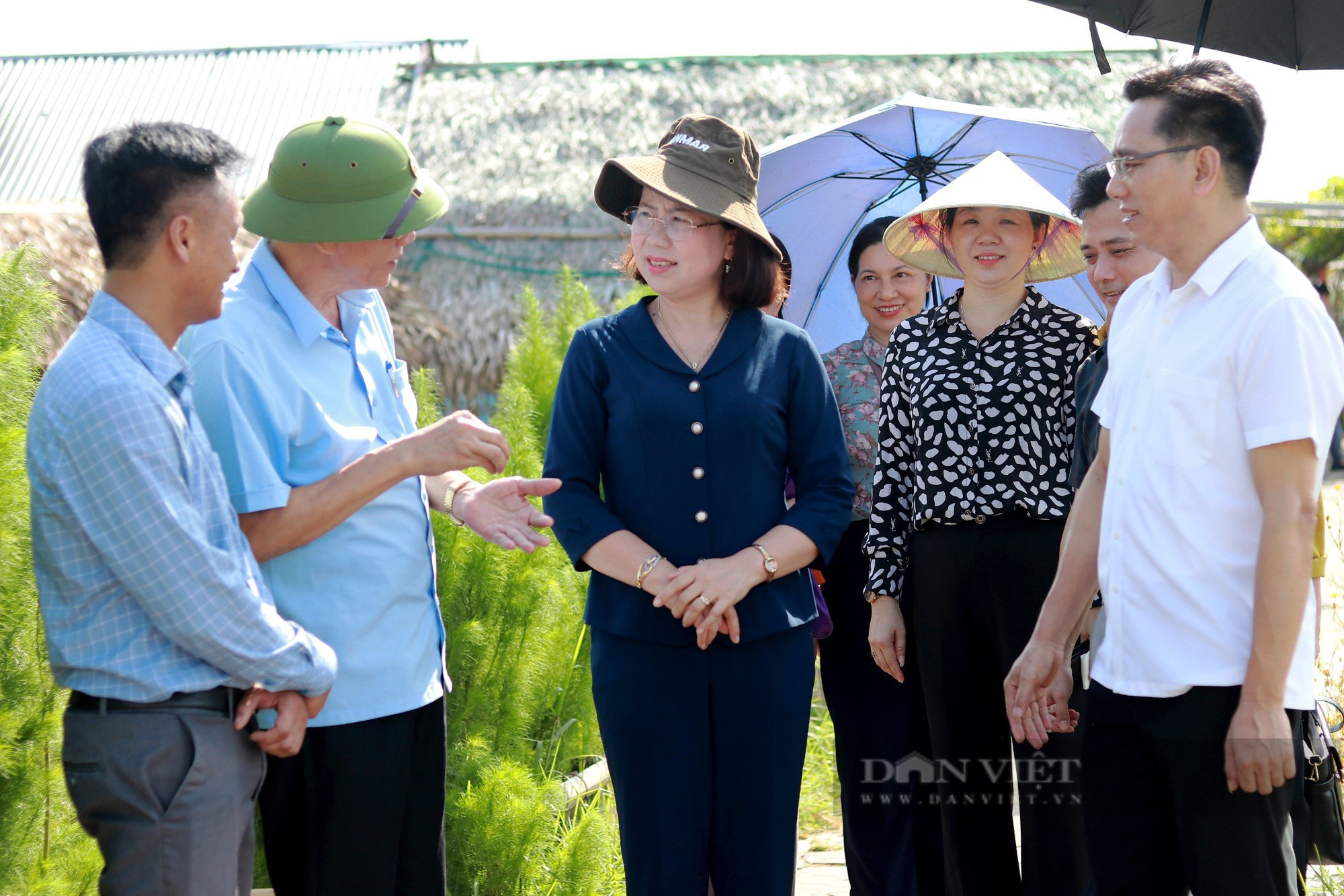 Phó Chủ tịch TƯ Hội NDVN Bùi Thị Thơm đánh giá cao mô hình tích tụ ruộng đất, NTM kiểu mẫu ở Hà Tĩnh- Ảnh 1.