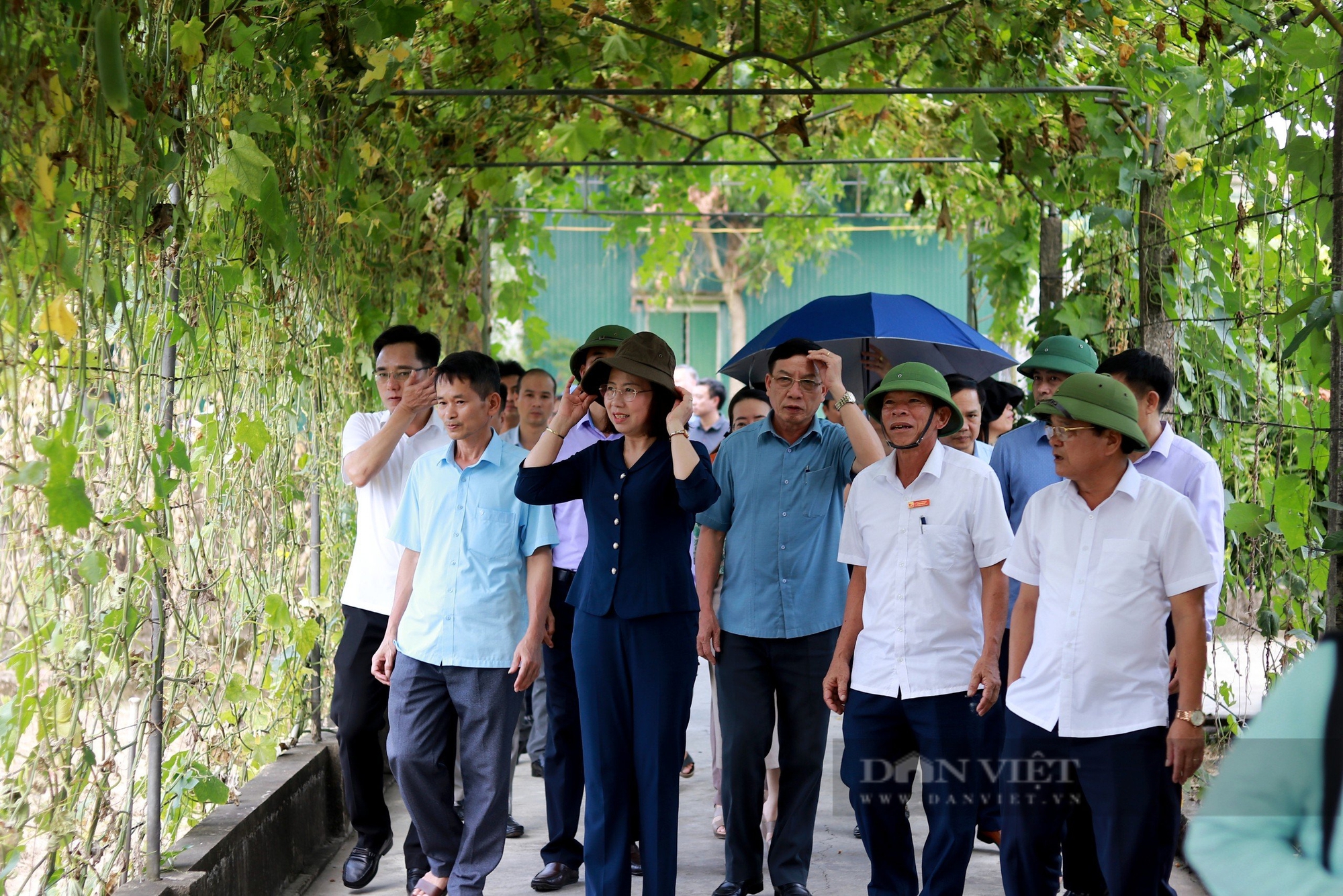 Phó Chủ tịch TƯ Hội NDVN Bùi Thị Thơm đánh giá cao mô hình tích tụ ruộng đất, NTM kiểu mẫu ở Hà Tĩnh- Ảnh 3.