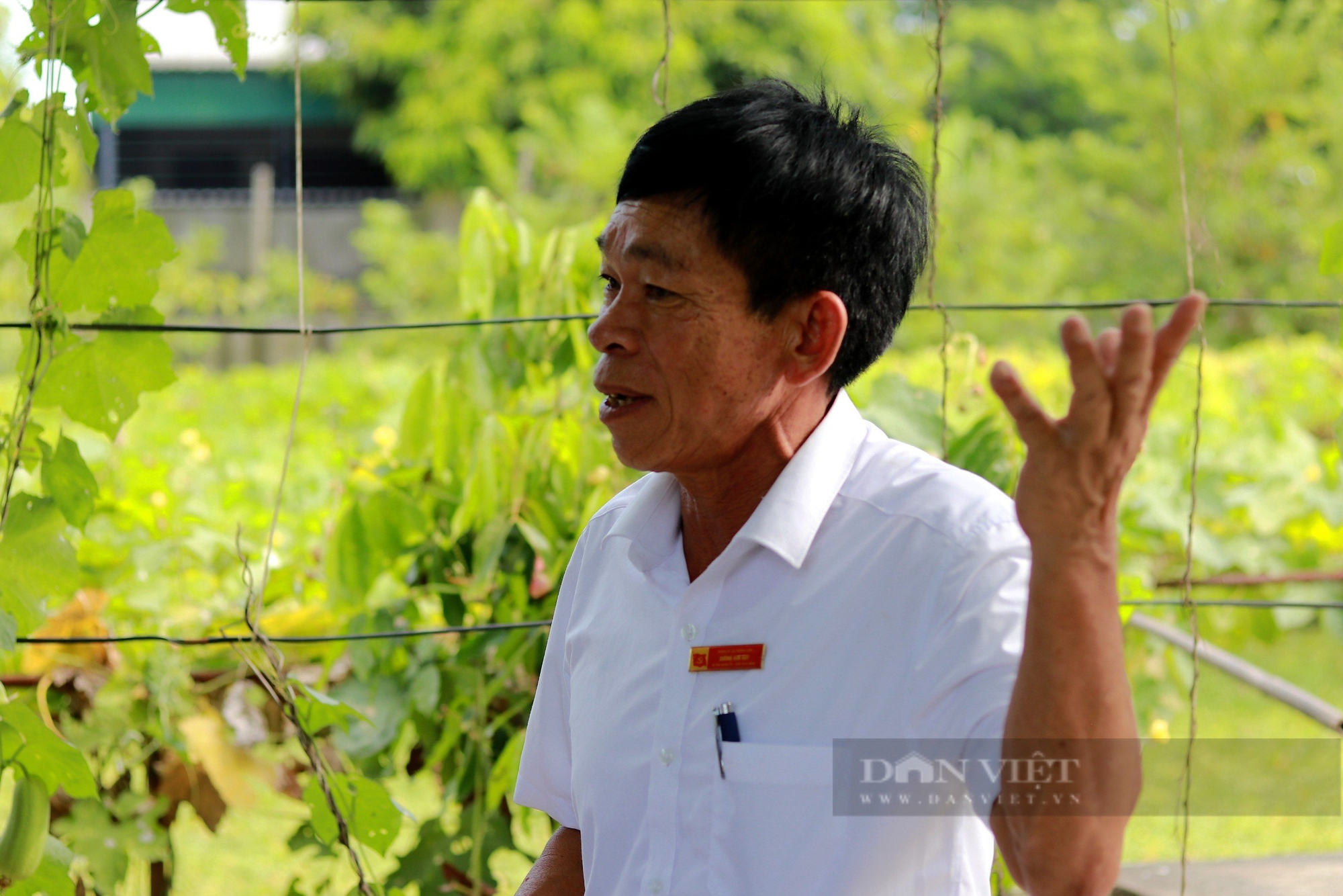 Phó Chủ tịch TƯ Hội NDVN Bùi Thị Thơm đánh giá cao mô hình tích tụ ruộng đất, NTM kiểu mẫu ở Hà Tĩnh- Ảnh 4.