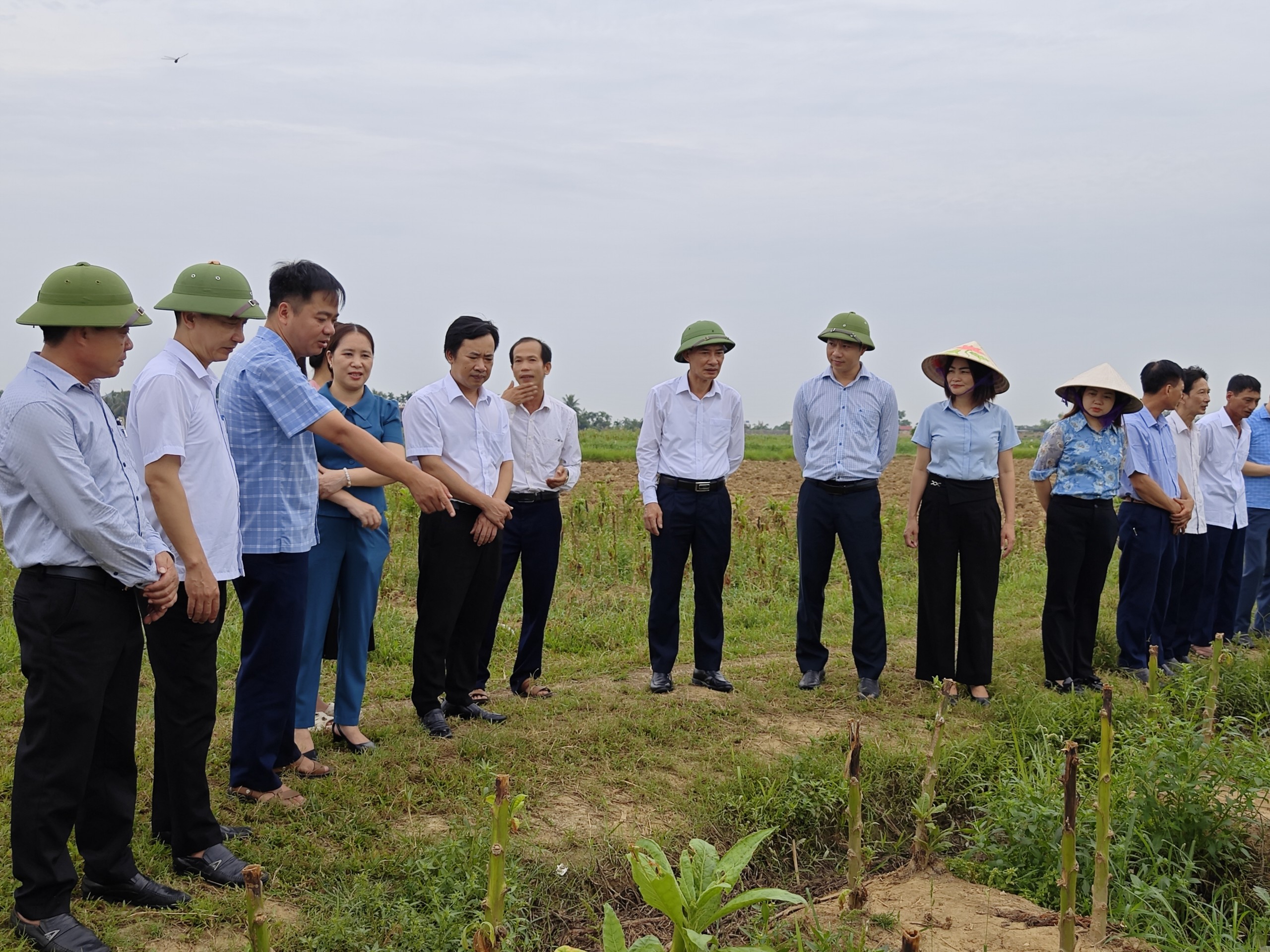 Hải Phòng: Tiếp tục giám sát quản lý, sử dụng đất trồng lúa tại xã Lý Học, huyện Vĩnh Bảo- Ảnh 1.