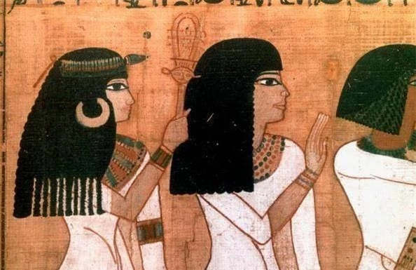 Tại sao người Ai Cập cổ đại lại thích cạo trọc đầu, sau đó đội tóc giả lên?- Ảnh 6.