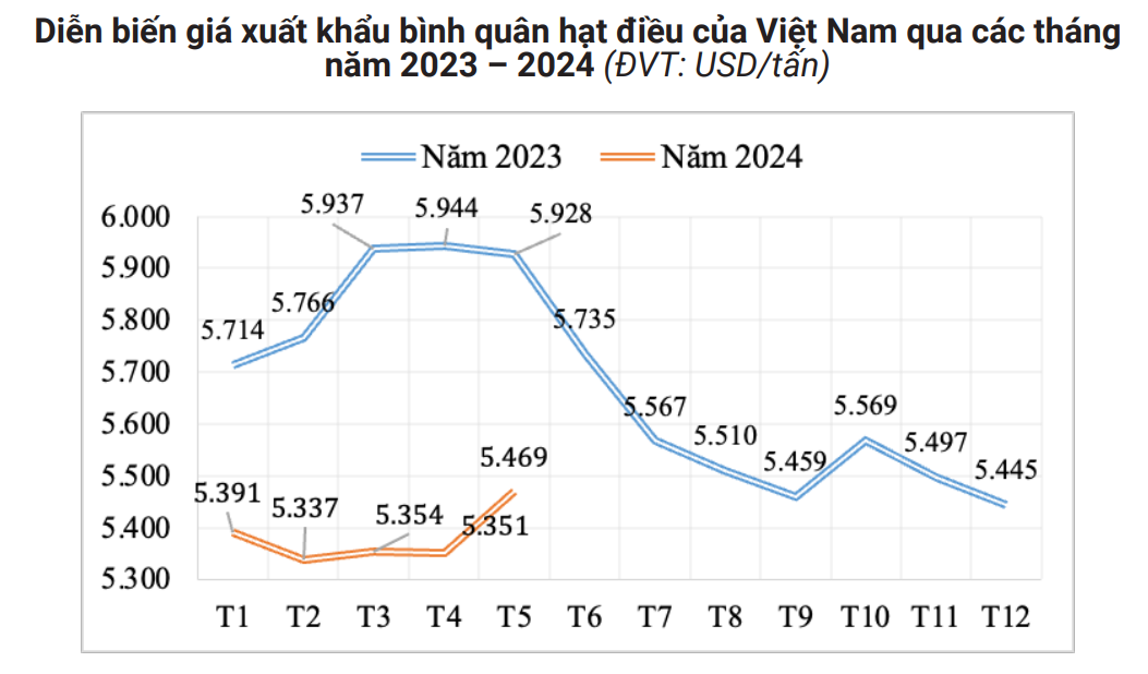 Chế độ ăn thuần chay và thực vật khiến nhu cầu hạt điều tăng vọt, nhất là thị trường lớn này- Ảnh 1.