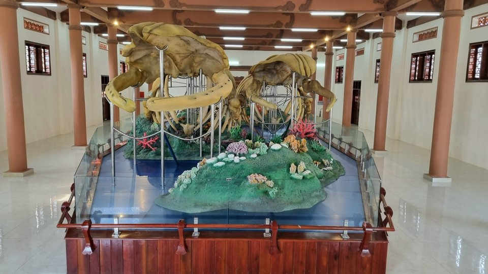 Bí ẩn 2 bộ xương cá voi lớn nhất Việt Nam mang tên Đồng Đình Đại Vương và Đức Ngư nhị vị tôn thần- Ảnh 1.