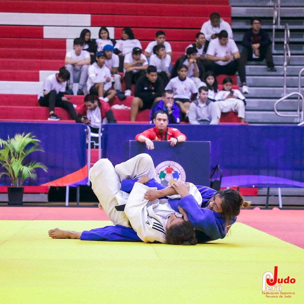 Nữ võ sĩ judo Hoàng Thị Tình tỏa sáng tại Peru, giành vé thứ 13 dự Olympic cho TTVN- Ảnh 2.