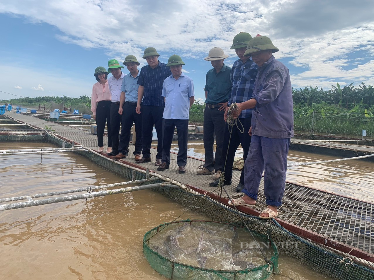 Tăng trưởng ngành nông nghiệp tỉnh Bắc Ninh bật tăng nhờ giá lợn hơi phi mã- Ảnh 3.