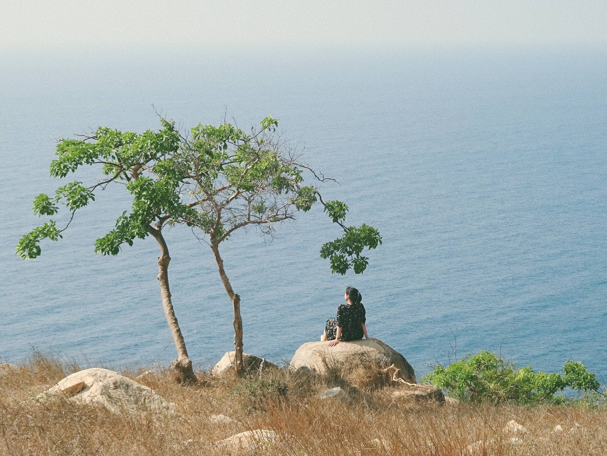 Du lịch Ninh Thuận qua mắt tín đồ mê xê dịch: “Chất vàng” trong nắng- Ảnh 6.