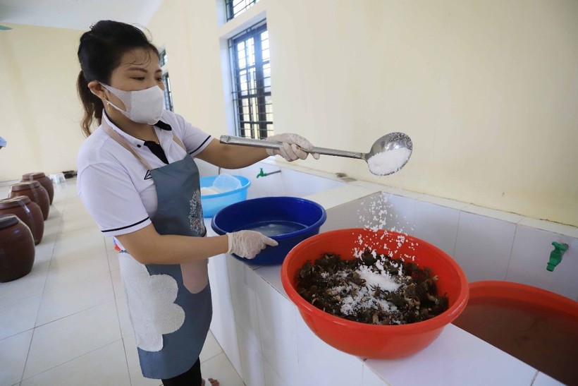 Ở nơi giao thoa giữa đồng bằng và biển được trời phú cho "lộc cáy" để làm ra loại mắm "đệ nhất"- Ảnh 2.