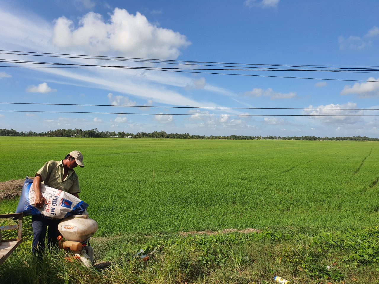 Đã đến lúc không thể không sửa đổi Luật 71- Ảnh 2.