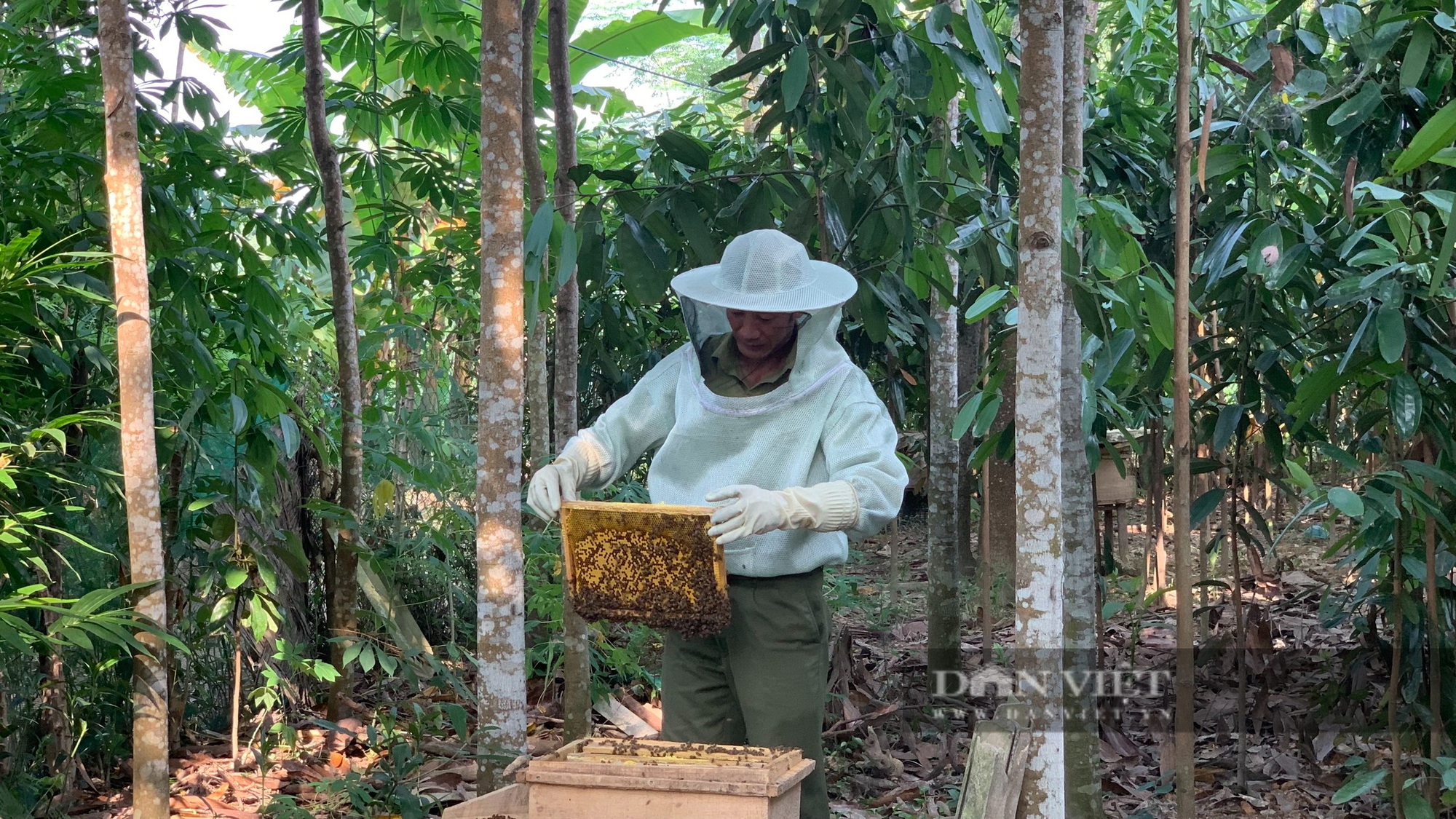 Yên Bái: "Đất ngọc" Lục Yên hỗ trợ nông dân đưa sản phẩm OCOP, đặc sản lên sàn thương mại điện tử- Ảnh 3.