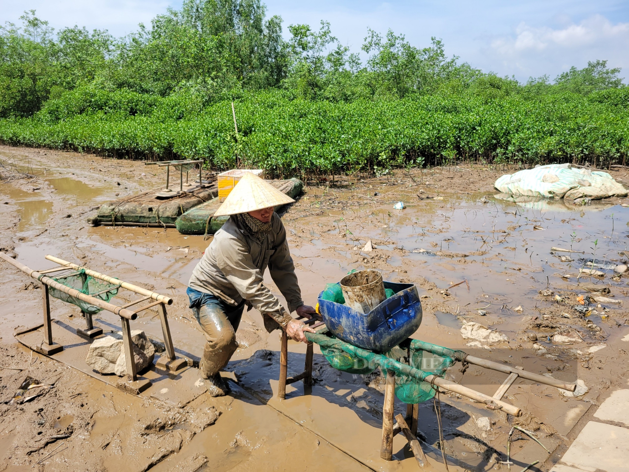Một khu rừng rậm ở Thanh Hóa, lội vô thấy dân bắt la liệt  con đặc sản, hễ bán là hết sạch- Ảnh 8.