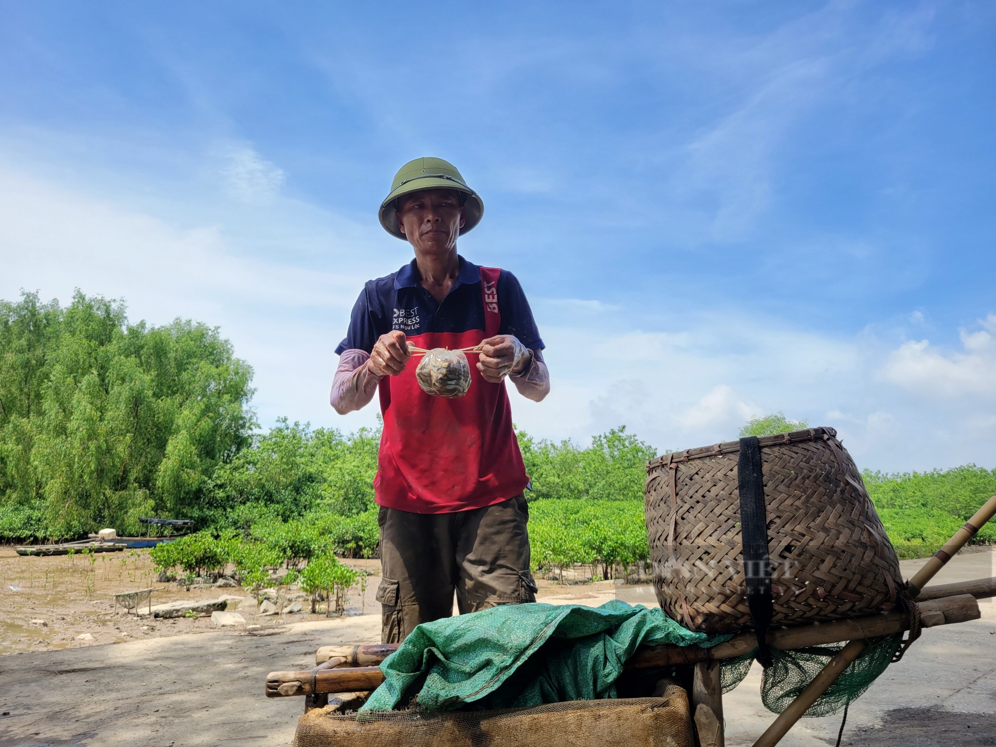 Một khu rừng rậm ở Thanh Hóa, lội vô thấy dân bắt la liệt  con đặc sản, hễ bán là hết sạch- Ảnh 15.