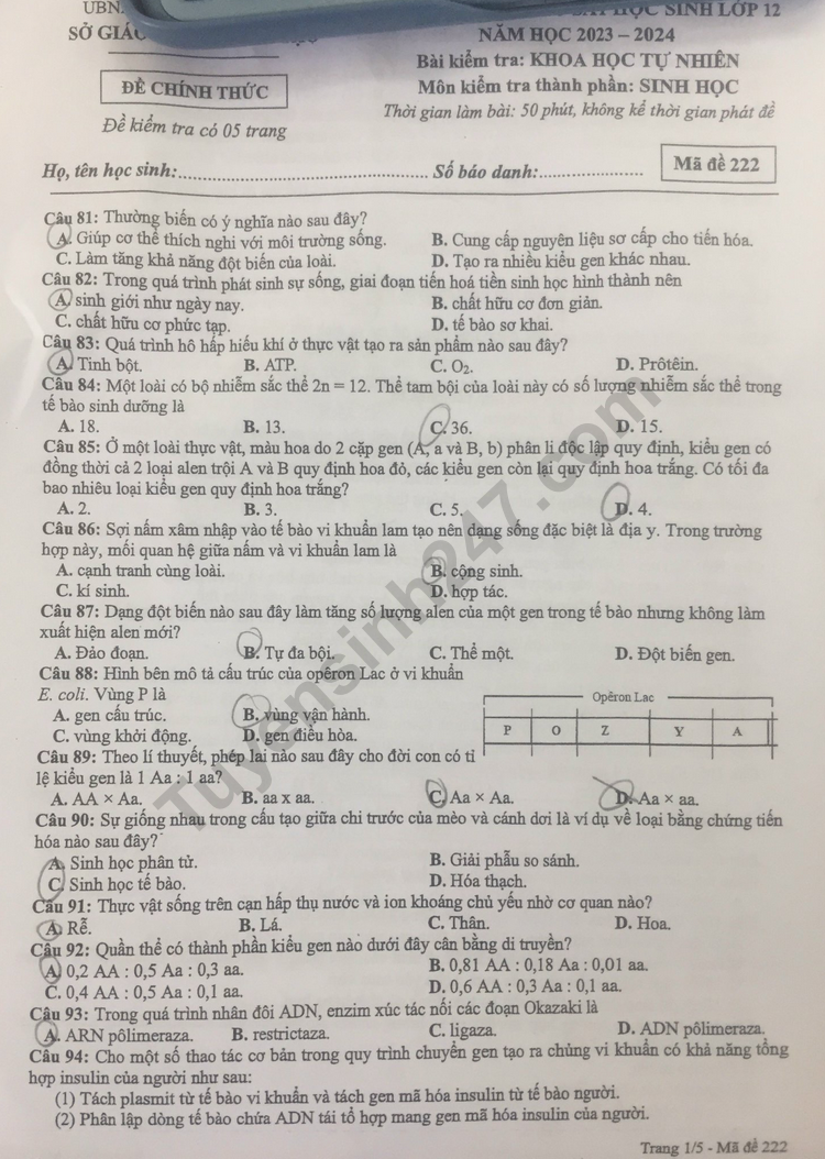 Đề thi thử môn Sinh học tốt nghiệp THPT 2024 có đáp án của Hà Nội - Ảnh 1.