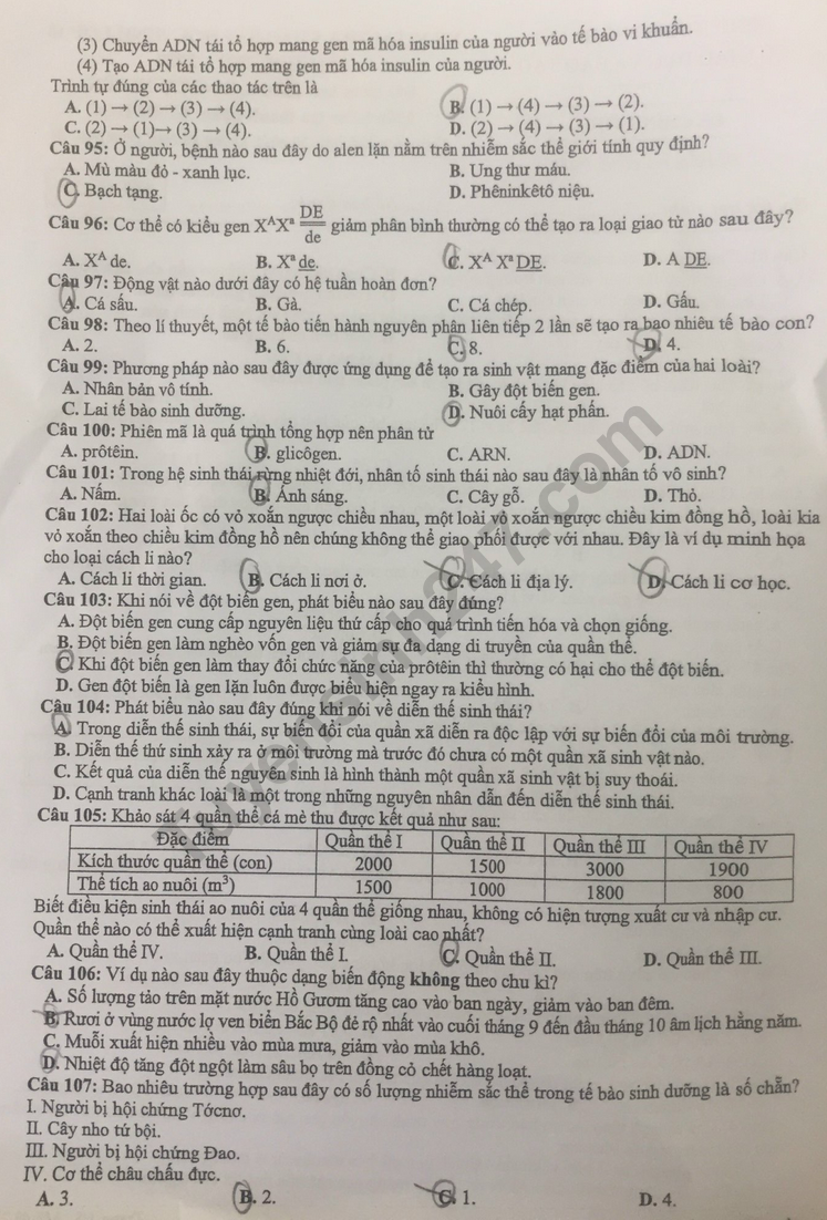 Đề thi thử môn Sinh học tốt nghiệp THPT 2024 có đáp án của Hà Nội - Ảnh 2.