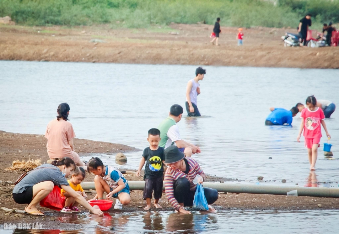 Ở một cái hồ nước ngọt nhân tạo rộng hơn 288ha tại Đắk Lắk có thời điểm đông vui nhộn nhịp thế này đây- Ảnh 4.