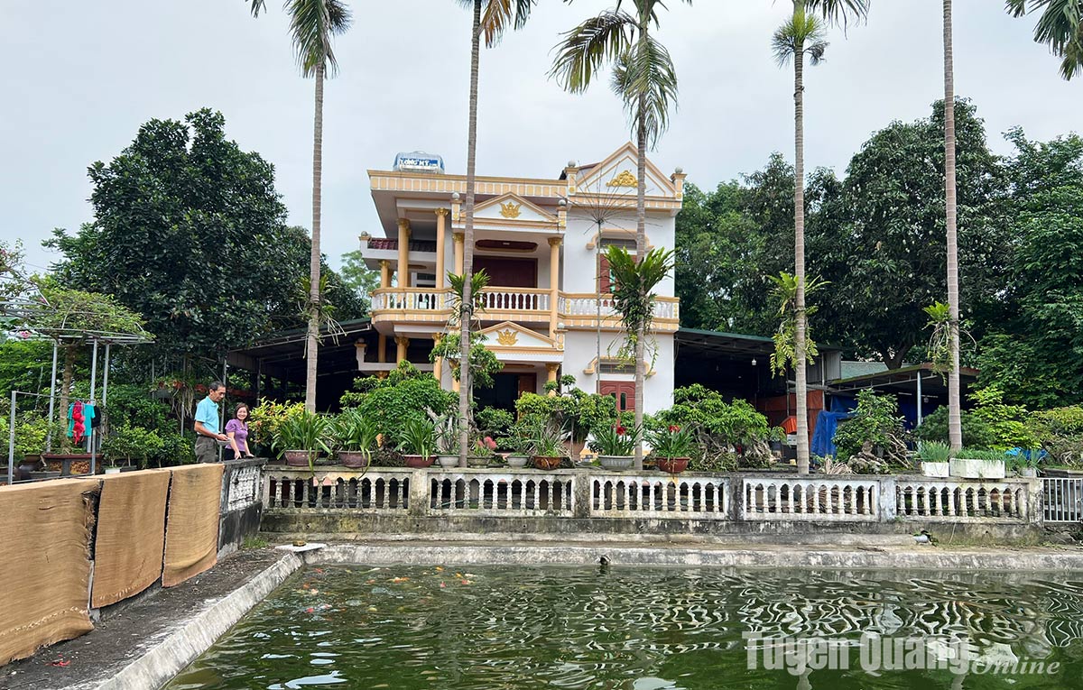 Một xã ở Tuyên Quang, 50 năm dân nuôi cá giống dày đặc mà giàu lên, xây nhà lầu đẹp như mơ- Ảnh 2.