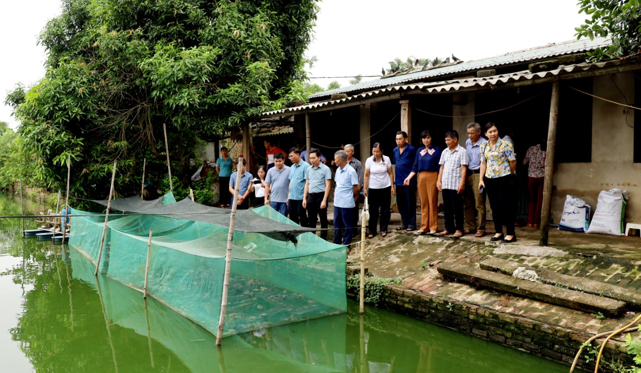 Cán bộ, hội viên nông dân Ninh Bình tham quan, học tập mô hình xử lý rác thải tại huyện Yên Khánh- Ảnh 3.