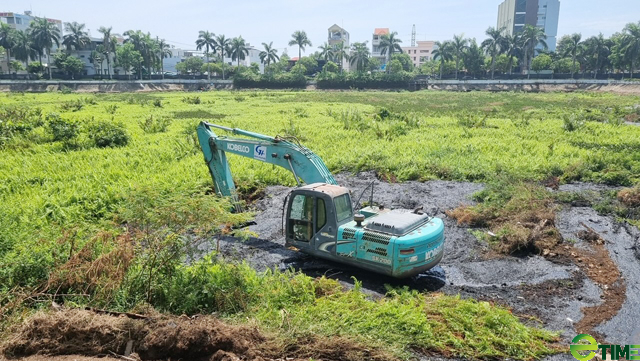 Quảng Ngãi chi tiền tỷ cải thiện công năng, giảm ô nhiễm cho hồ chứa trung tâm thành phố- Ảnh 9.