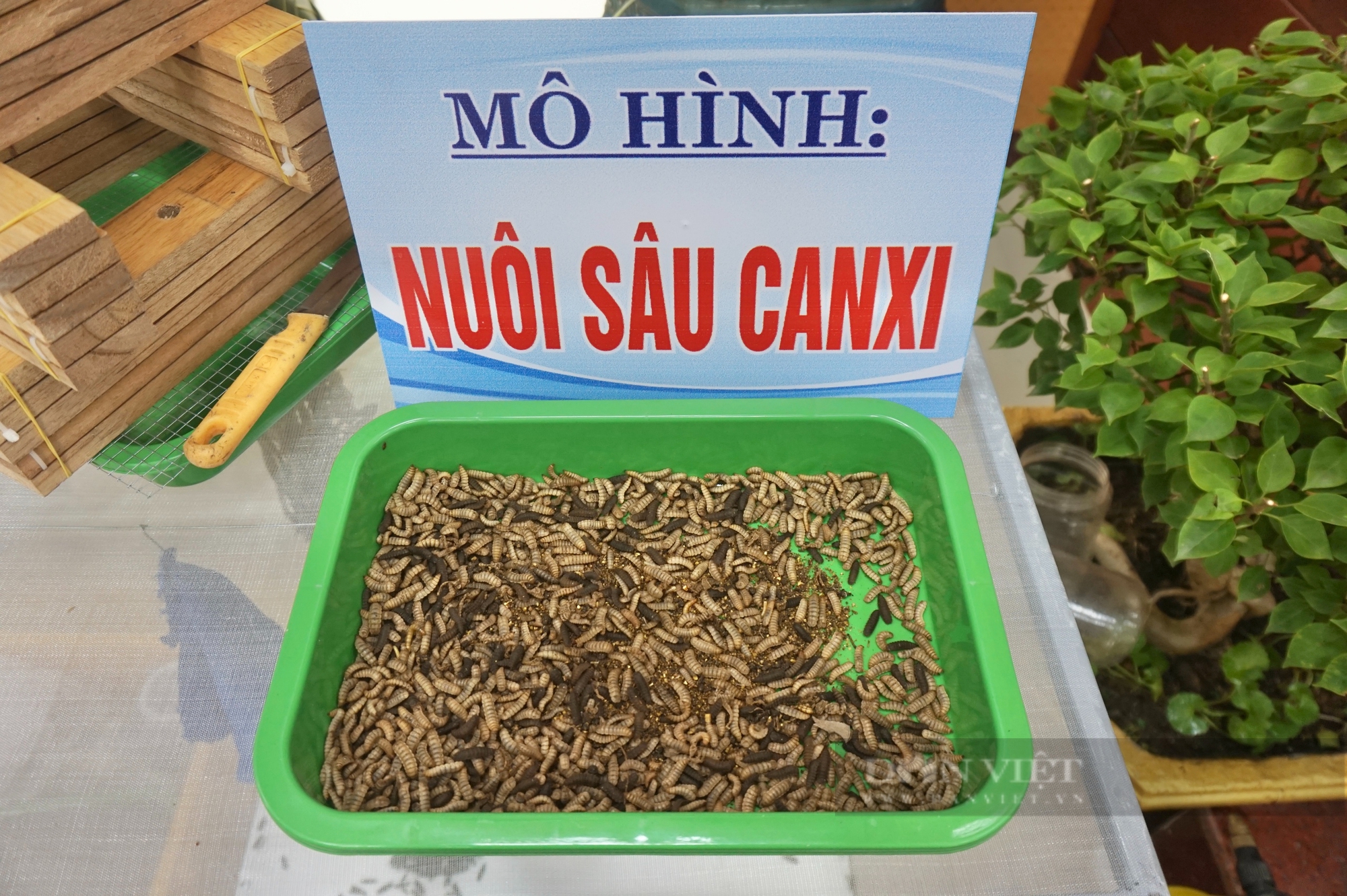 Đà Nẵng: Sôi nổi Hội thi tuyên truyền, vận động nông dân xử lý rác thải tại Việt Nam- Ảnh 6.