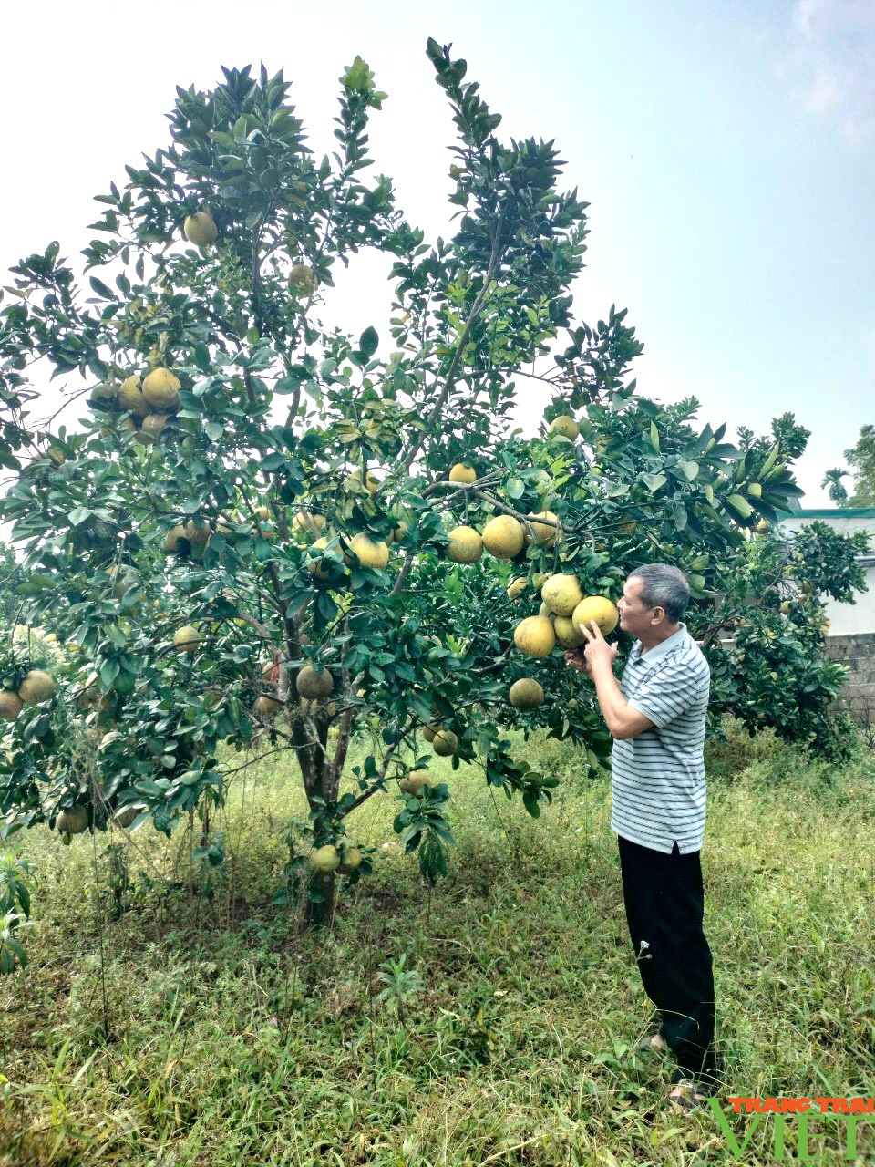 Phong trào thi đua sản xuất, kinh doanh giỏi tạo động lực để nông dân Tân Lạc làm giàu- Ảnh 2.