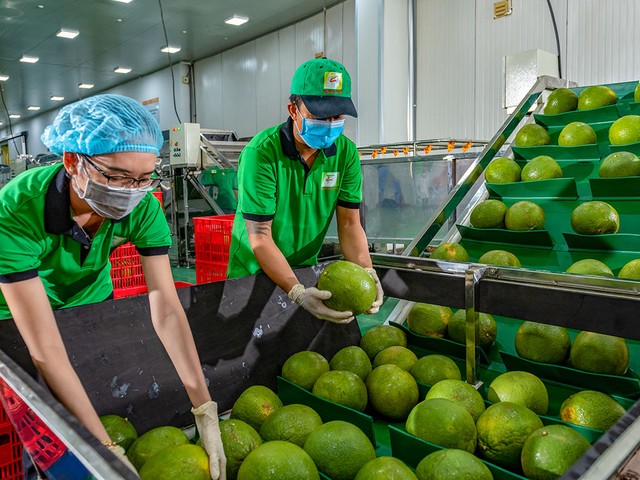 Nâng cao năng lực SPS là cơ hội để Việt Nam khẳng định đáp ứng yêu cầu an toàn thực phẩm với thế giới- Ảnh 2.