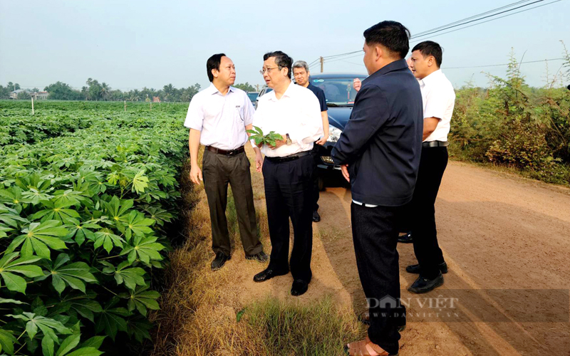Thứ Trưởng Bộ NNPTNT Hoàng Trung (giữa) đề nghị các tỉnh thành tăng cường chính sách đầu tư để phát triển ngành sắn tại địa phương. Ảnh: T.L