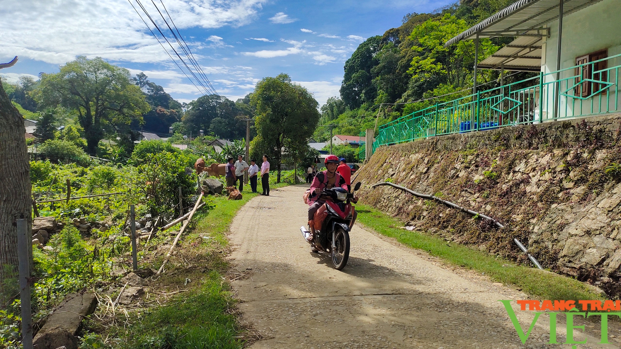 Pà Cò đổi thay nhờ xây dựng nông thôn mới- Ảnh 1.