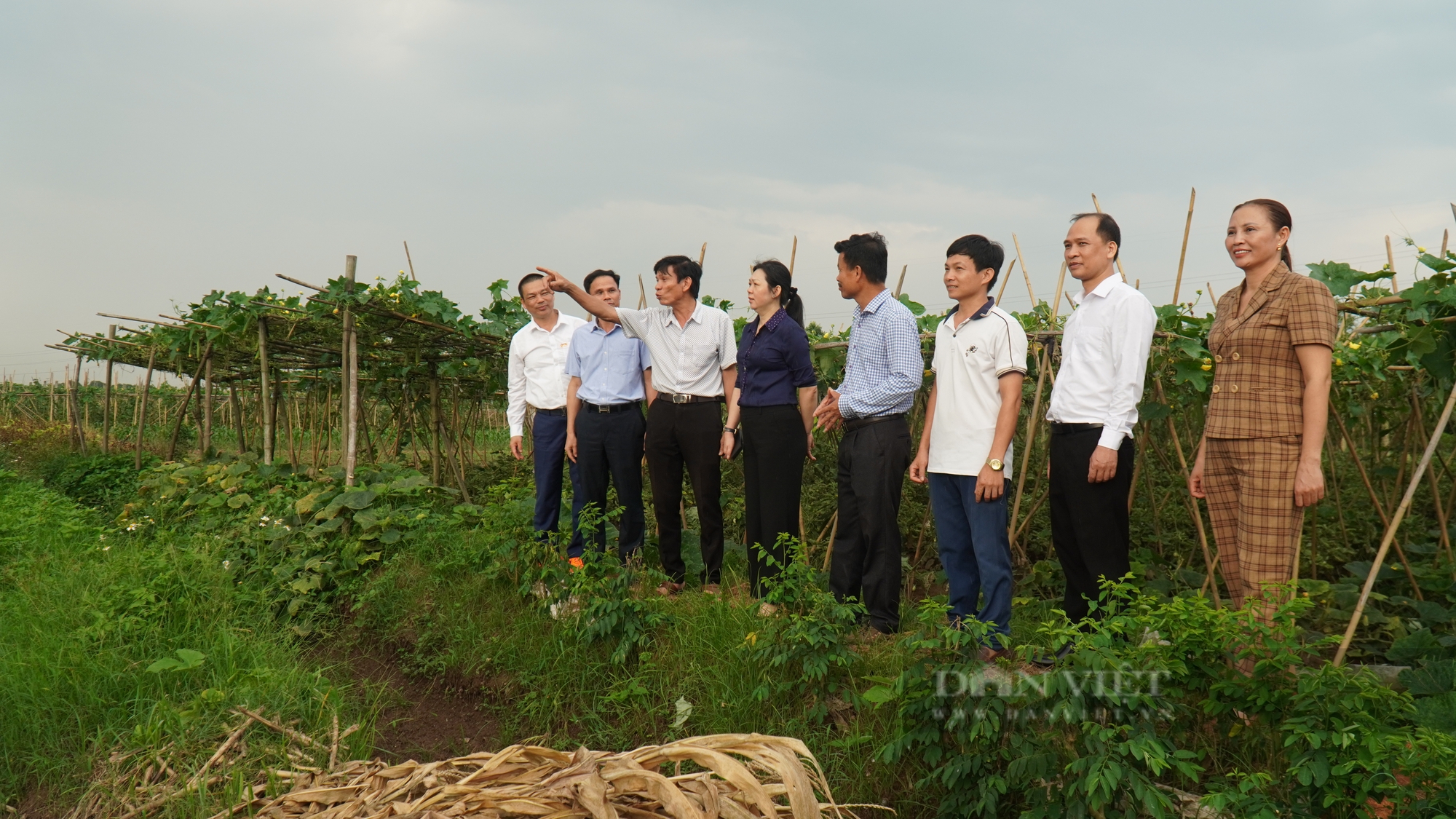 Đến năm 2030, các cấp Hội Nông dân tỉnh Bắc Ninh sẽ tư vấn, thành lập mới ít nhất 42 hợp tác xã- Ảnh 1.