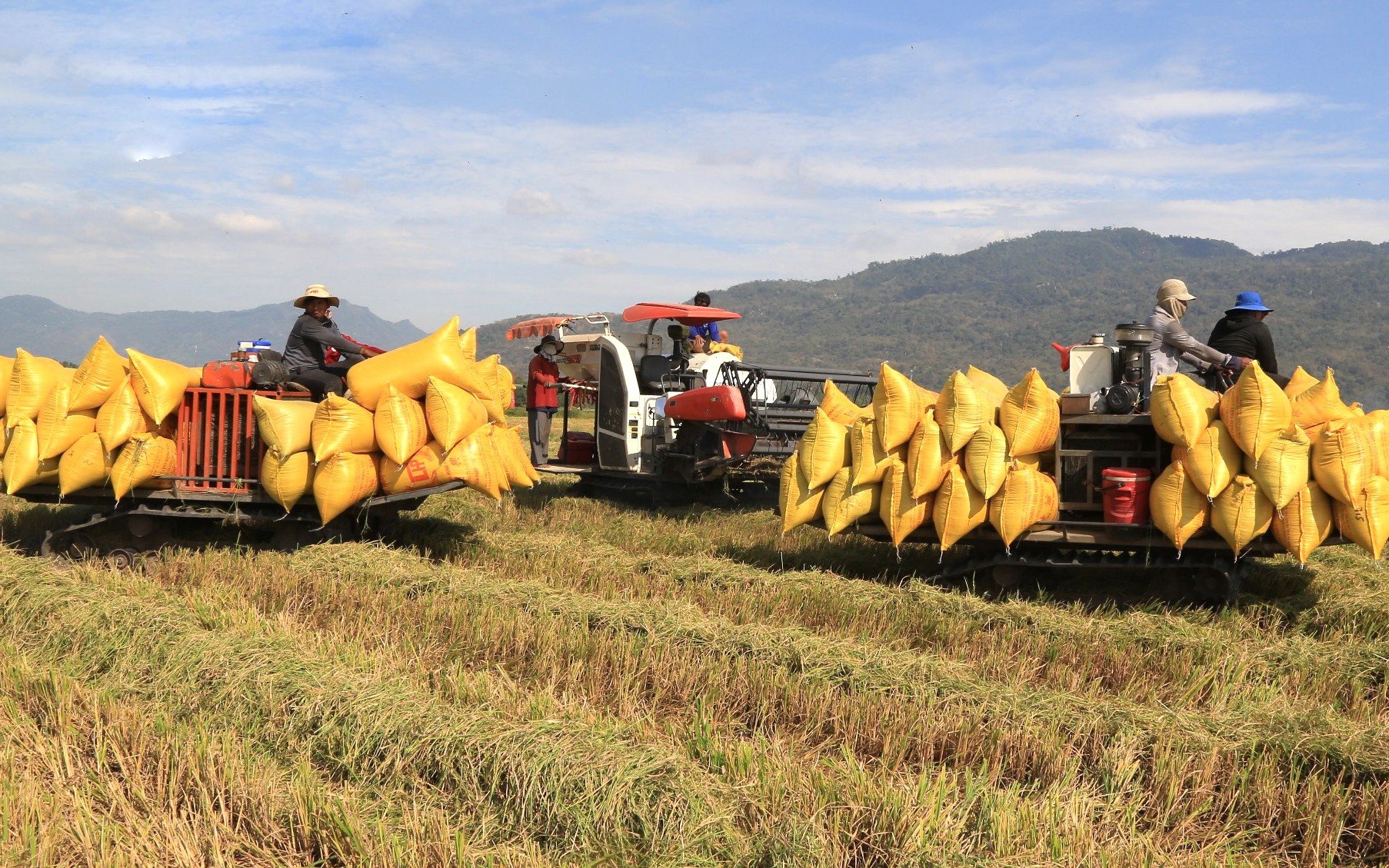 Sản xuất lúa là ngành tiềm năng nhất để giảm phát thải - Ảnh 2.