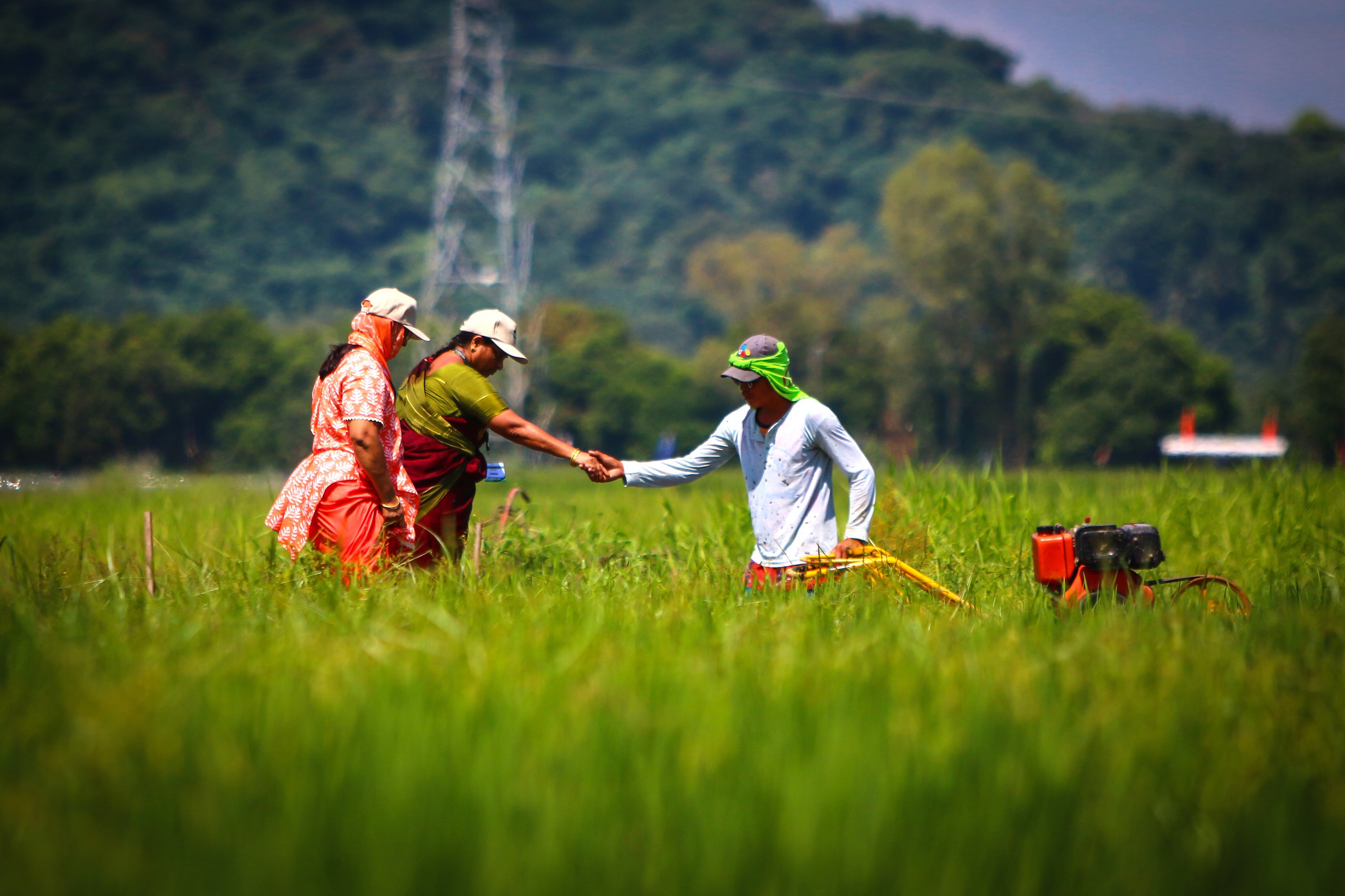 Chọn Việt Nam là nơi bắt đầu dự án quốc tế cho lúa chất lượng cao, phát thải thấp- Ảnh 2.