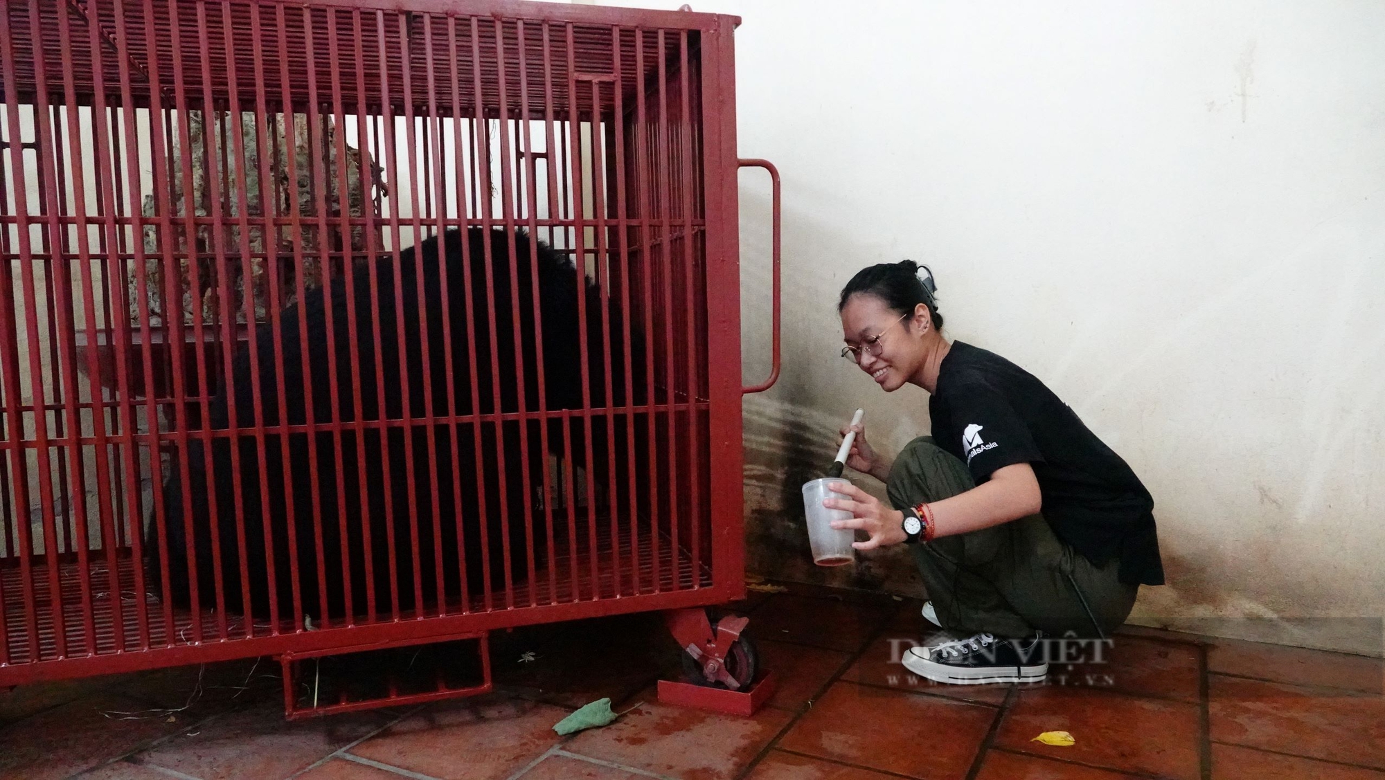 Một xã ở ngoại thành Hà Nội còn nuôi gần 90 cá thể gấu- Ảnh 1.