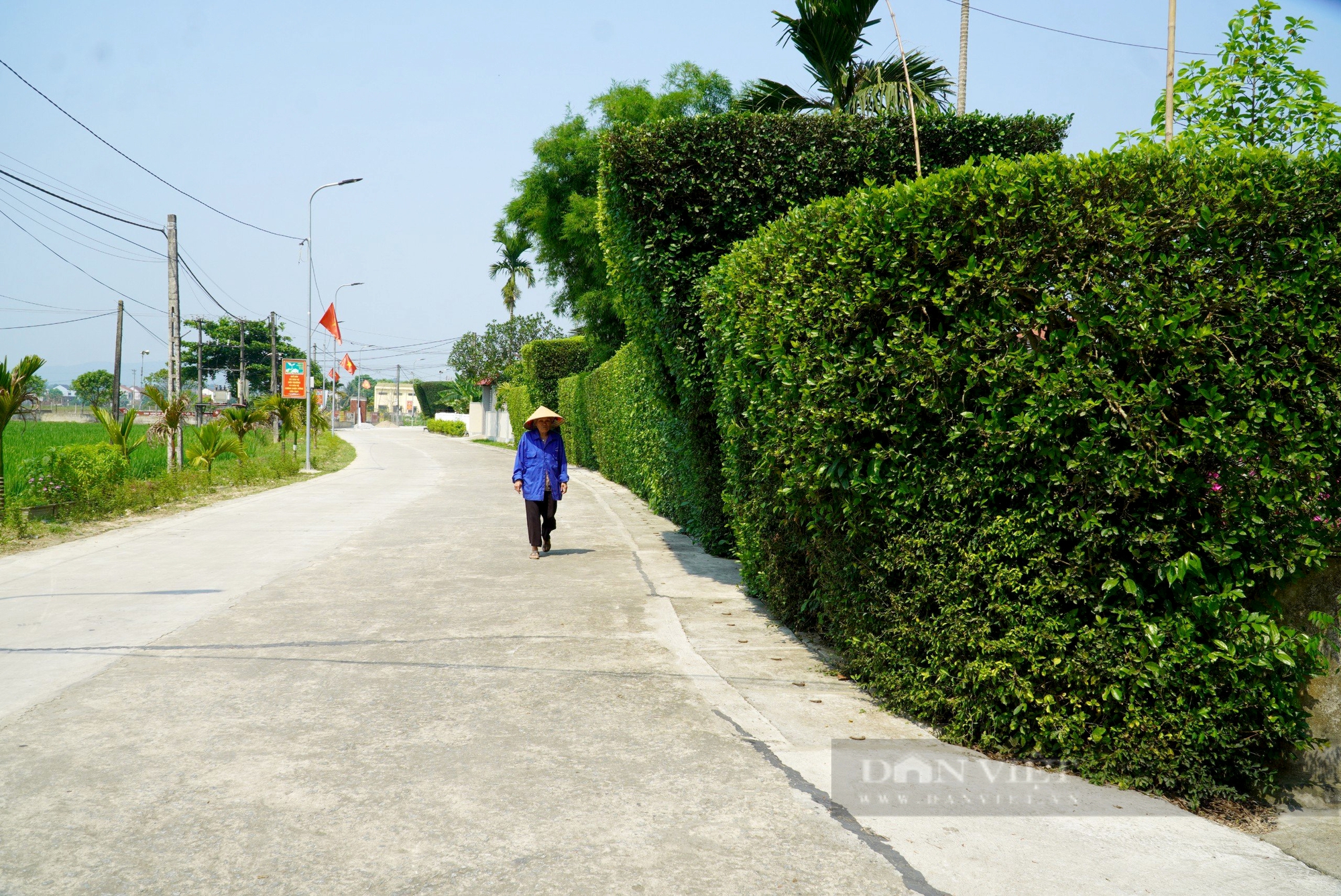 Từng là vùng đất nghèo khó, quê hương cố Tổng Bí thư Trần Phú phấn đấu trở thành xã NTM thông minh- Ảnh 10.