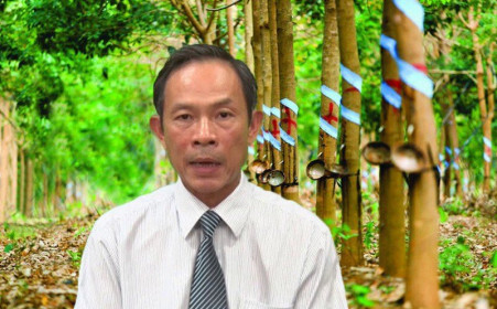 Cao su Việt Nam (GVR): Ông Trần Ngọc Thuận xin từ nhiệm, ước lãi hơn 1.100 tỷ đồng trước thuế sau 5 tháng- Ảnh 1.