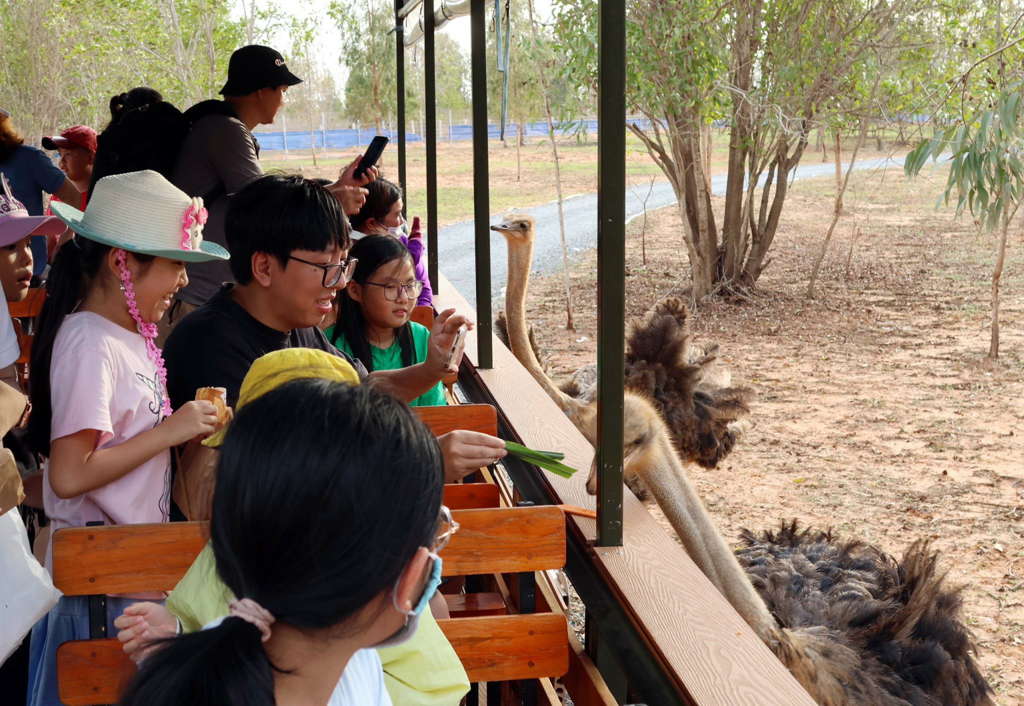 Người Bình Thuận được miễn phí toàn bộ vé vào cổng các công viên giải trí của NovaWorld Phan Thiet- Ảnh 1.