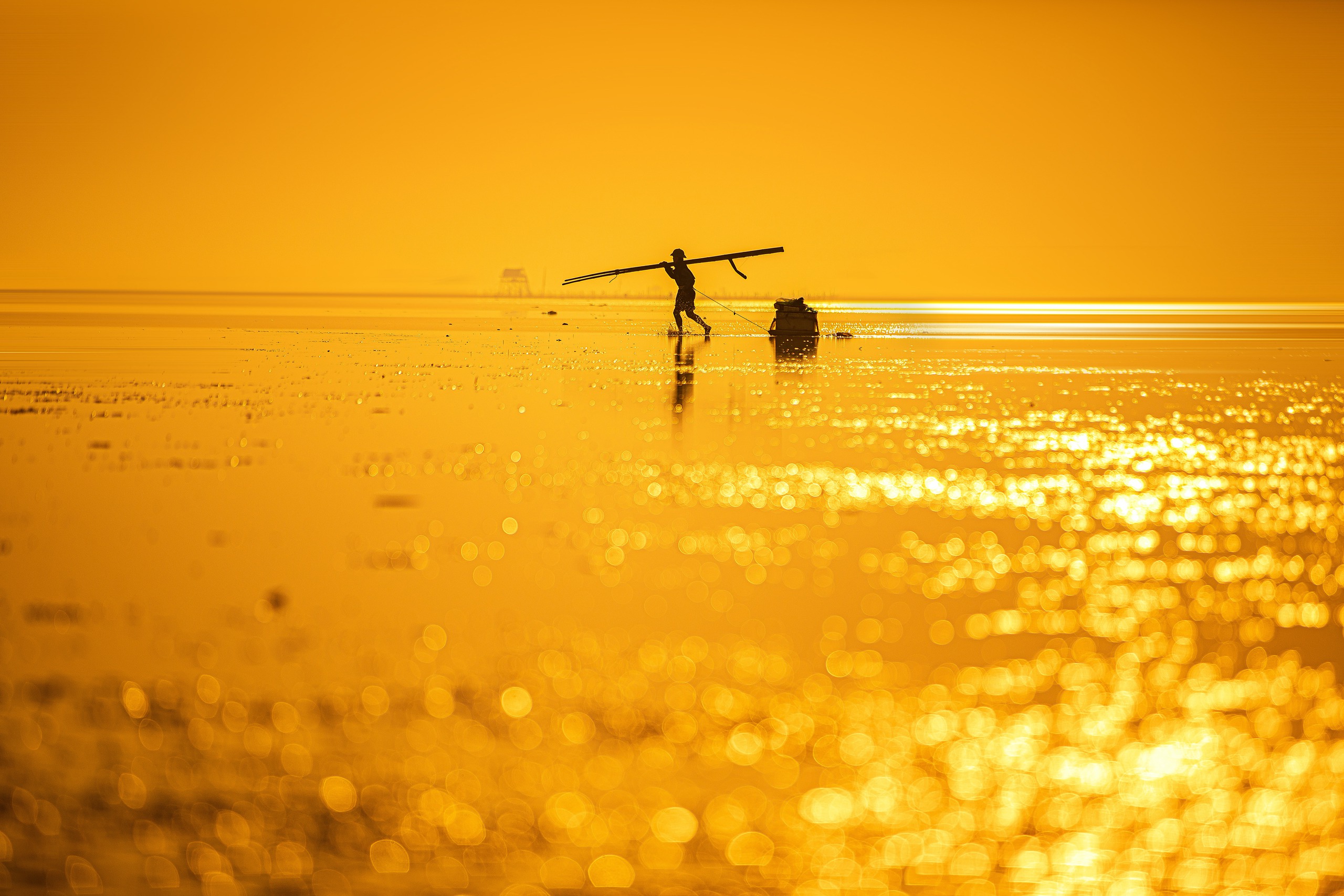 Vẻ đẹp như mơ như thực của bãi biển Đồng Châu trong ánh bình minh- Ảnh 7.