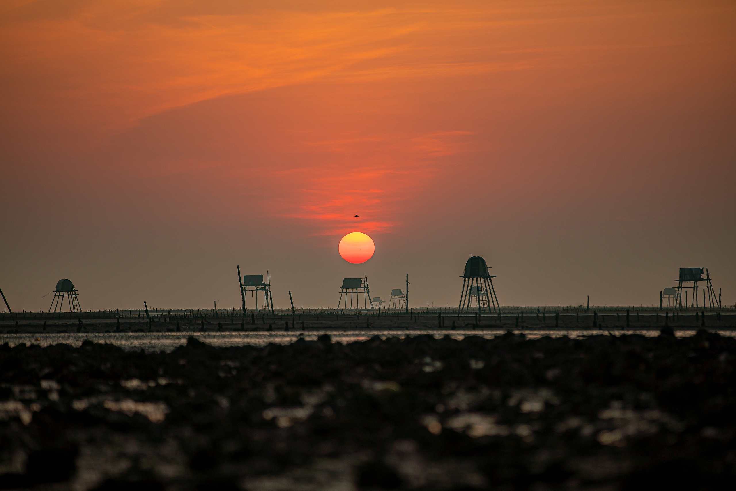 Vẻ đẹp như mơ như thực của bãi biển Đồng Châu trong ánh bình minh- Ảnh 3.