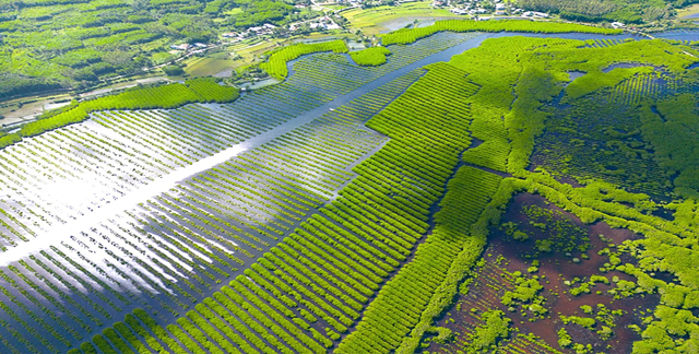 Quảng Ngãi 9 doanh nghiệp, tổ chức bắt tay lập Liên minh chuỗi giá trị du lịch cộng đồng- Ảnh 3.