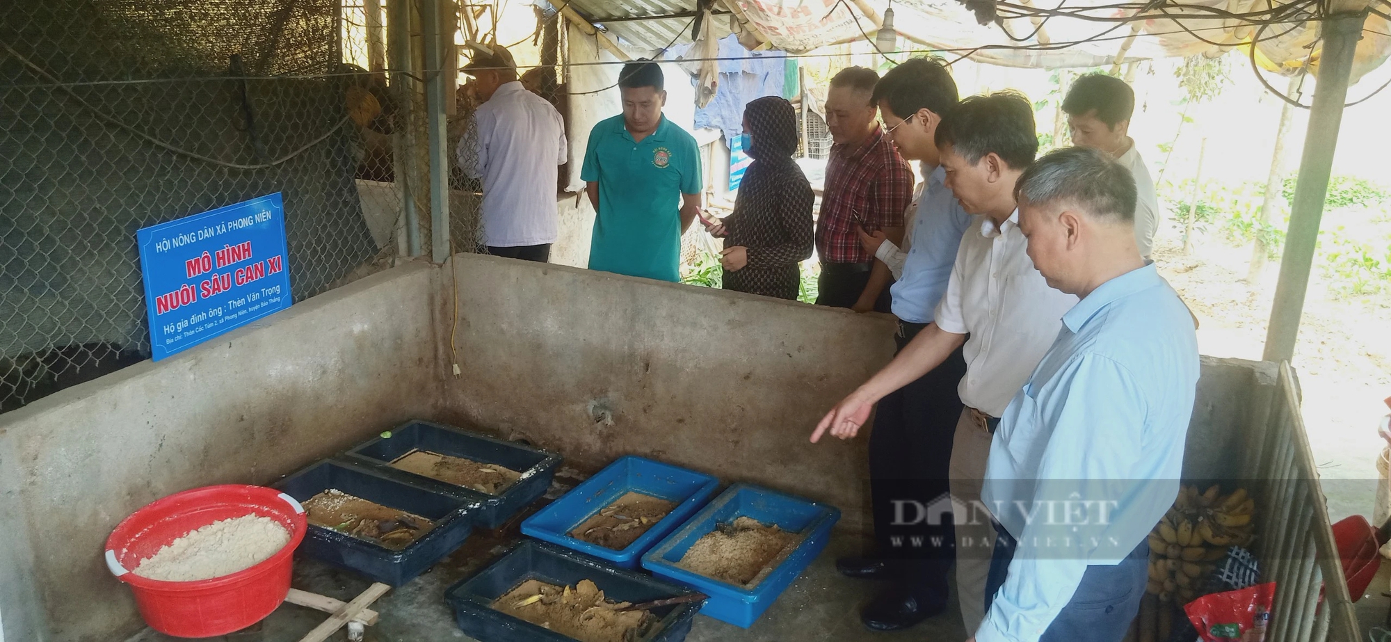 Nuôi gà, nuôi sâu canxi, nuôi giun trùn quế, nông dân thu lợi kép, vì sao nhiều người đang đến xem?- Ảnh 3.