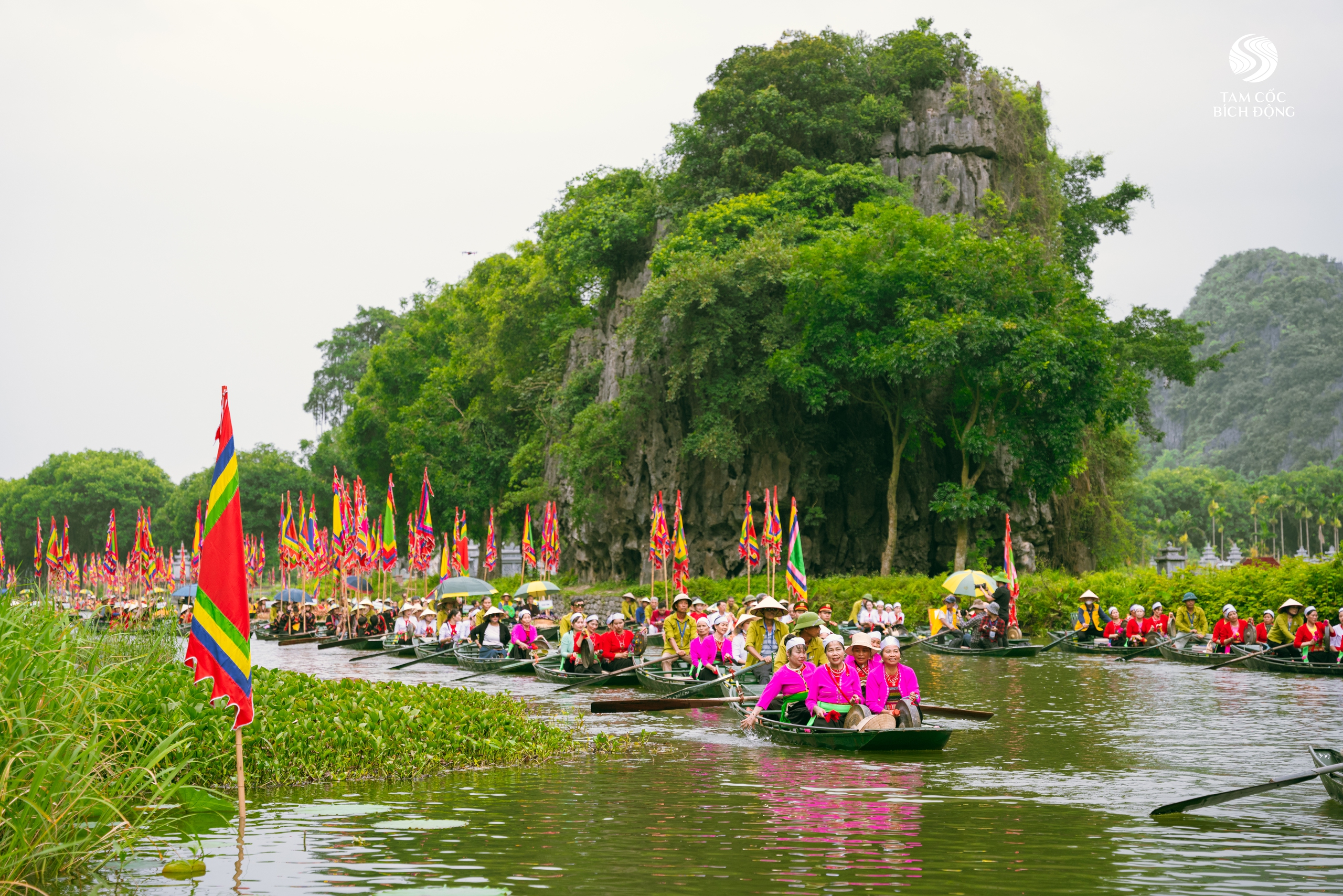 Sắc vàng lung linh mùa hội Tam Cốc - Tràng An- Ảnh 3.