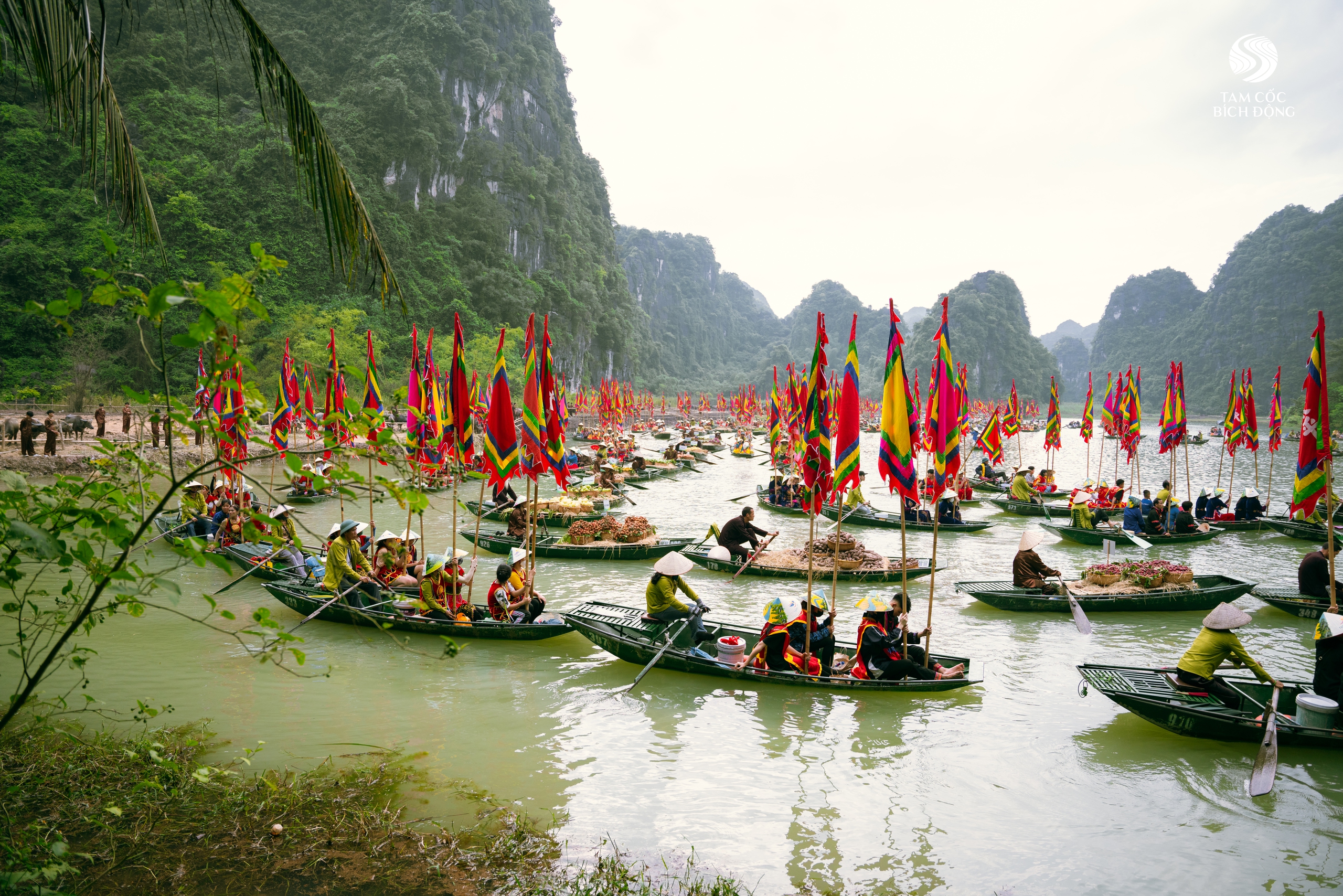 Sắc vàng lung linh mùa hội Tam Cốc - Tràng An- Ảnh 11.