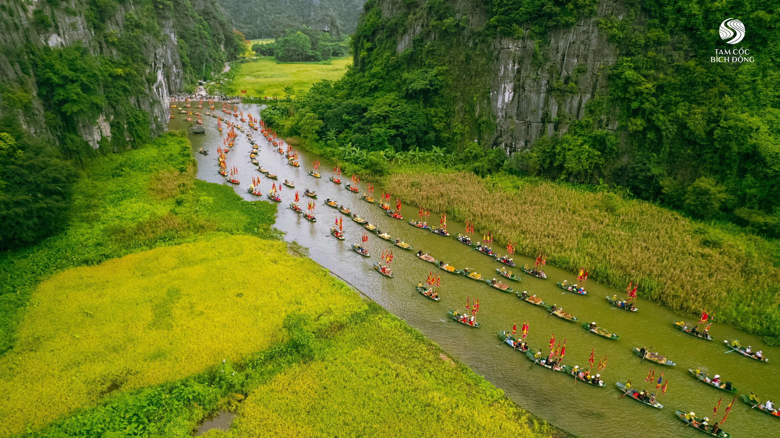 Sắc vàng lung linh mùa hội Tam Cốc - Tràng An- Ảnh 4.